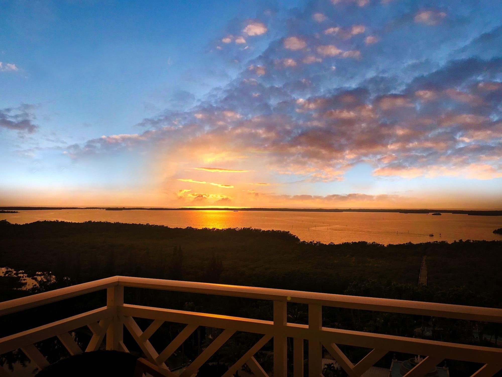 Hyatt Regency Coconut Point Resort&Spa Near Naples Bonita Springs Exteriör bild